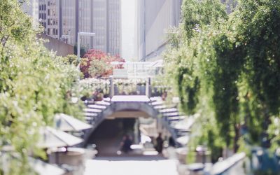 L’Évaluation des Compétences : Clé de la Performance RH