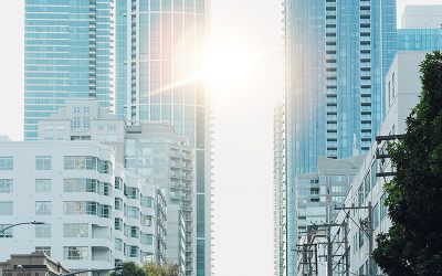 La Formation : Un Investissement Stratégique pour l’Avenir
